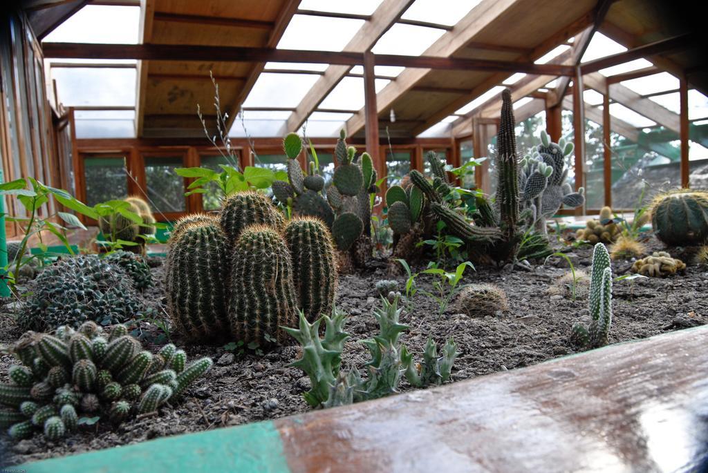 Hosteria Mandala Puerto López 외부 사진